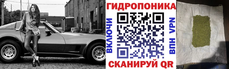 Где купить наркоту Пустошка МАРИХУАНА A-PVP Галлюциногенные грибы Гашиш mega вход NBOMe Меф мяу мяу КОКАИН MDMA