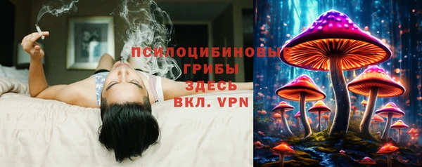 синтетический гашиш Алексеевка
