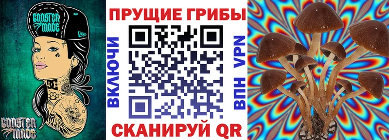 Галлюциногенные грибы Magic Shrooms  наркошоп  Пустошка 